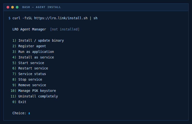 The LRO agent installer menu in a terminal, listing install, register, run and service options