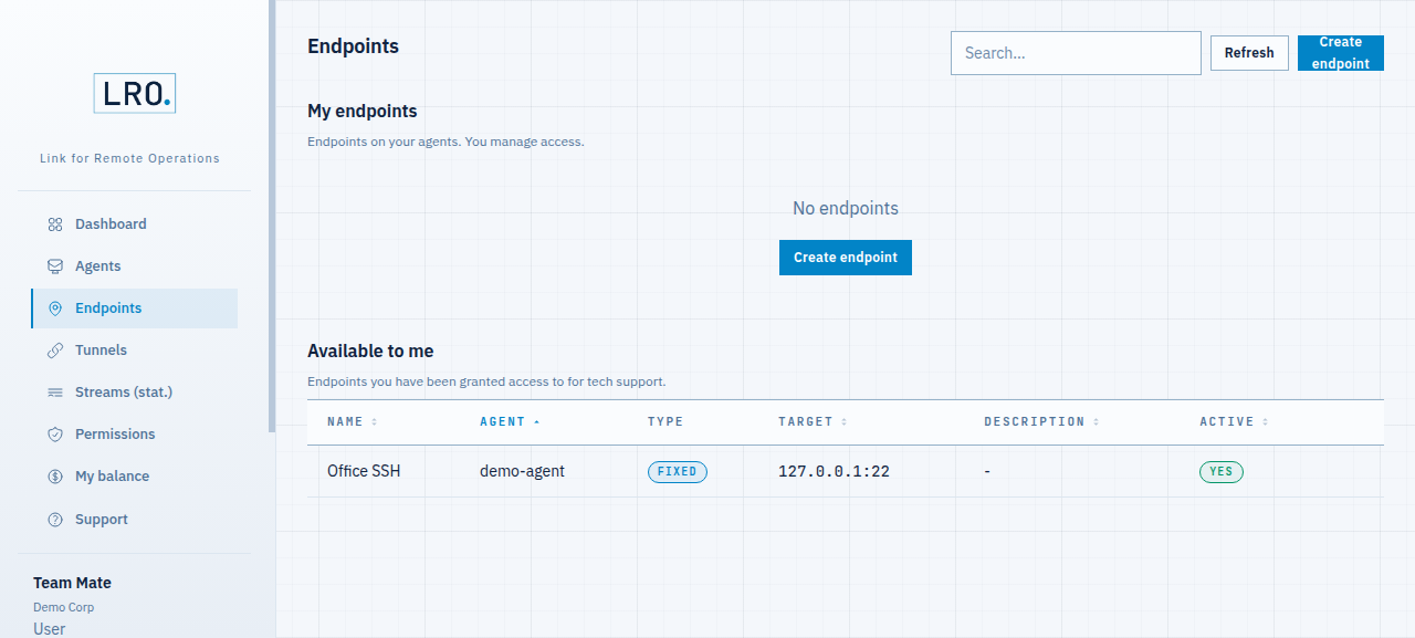 A member's endpoints page showing only the one endpoint granted to them