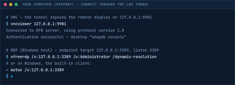 Terminal showing vncviewer and xfreerdp/mstsc commands connecting to 127.0.0.1 through the tunnel